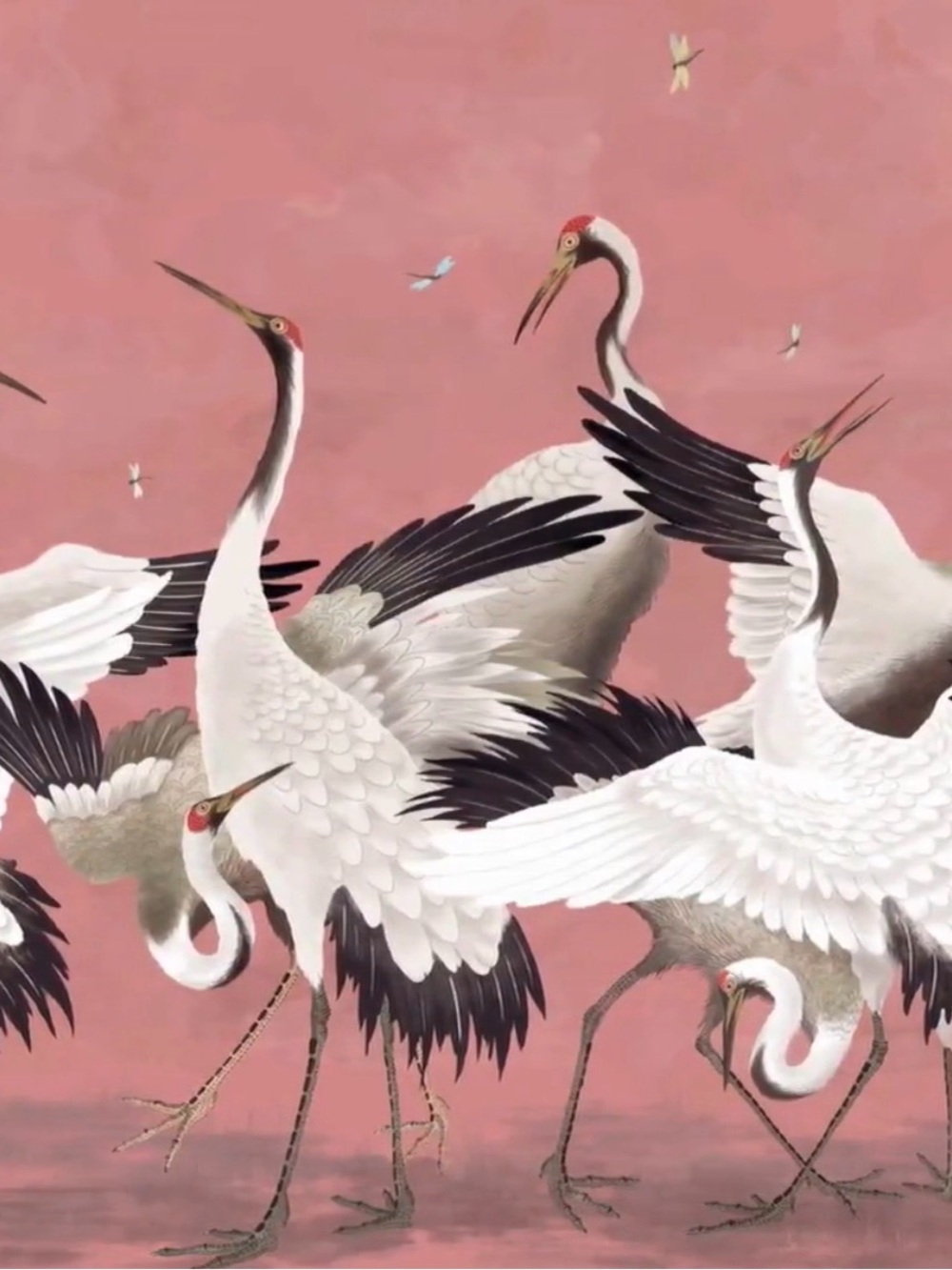 Crane Bird Wallpaper peel stick in Pink/White